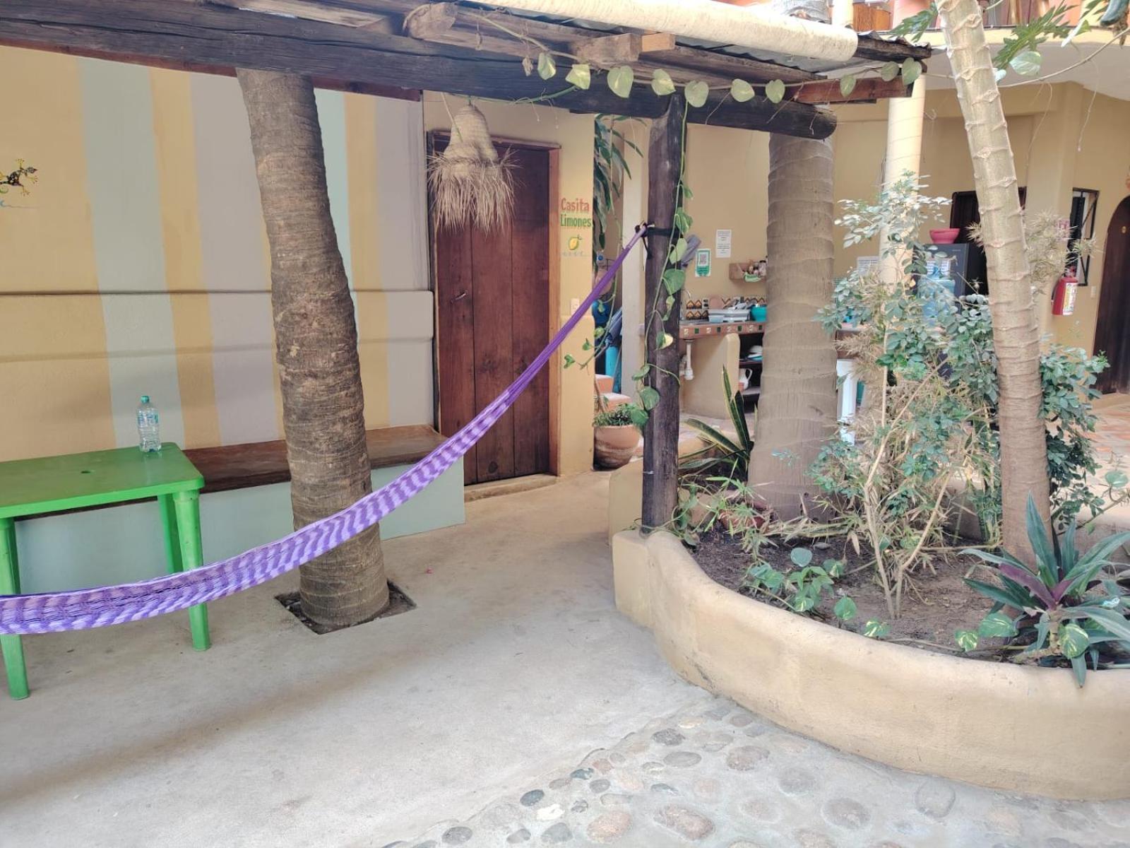 Punta Mar Otel Brisas de Zicatela Dış mekan fotoğraf